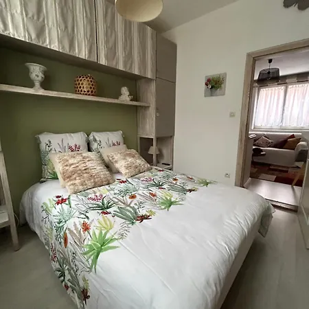 Des Capucins Centre Sélestat