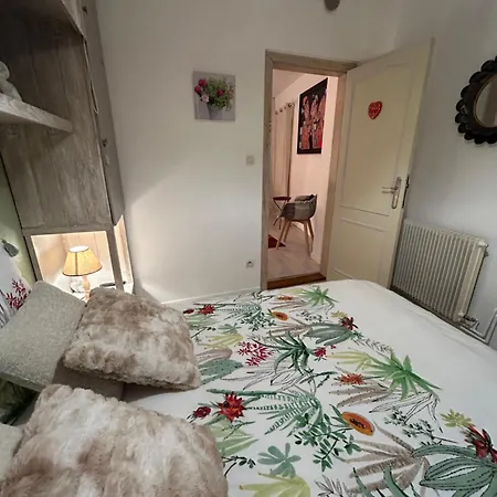 Des Capucins Centre Appartement Sélestat