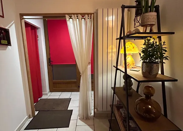 Des Capucins Centre Appartement Sélestat