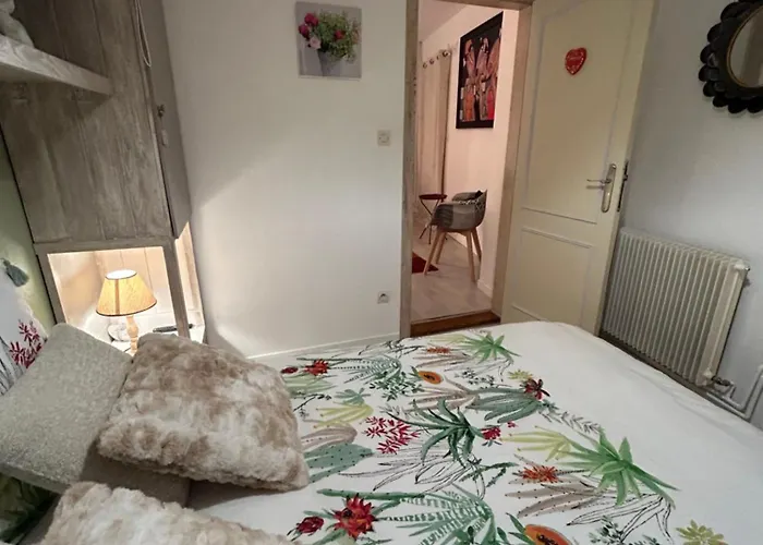 Des Capucins Centre Appartement Sélestat
